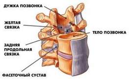 Фитнес при сколиозе и остеохондрозе - программа семинара